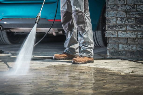 Best Driveway Cleaning and Restoration in Hayfield, VA