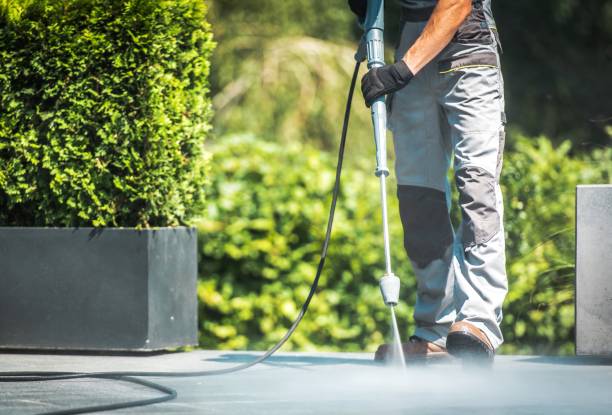 Best Pool Deck Cleaning in Hayfield, VA