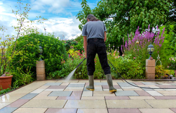 Best Building Exterior Pressure Washing in Hayfield, VA